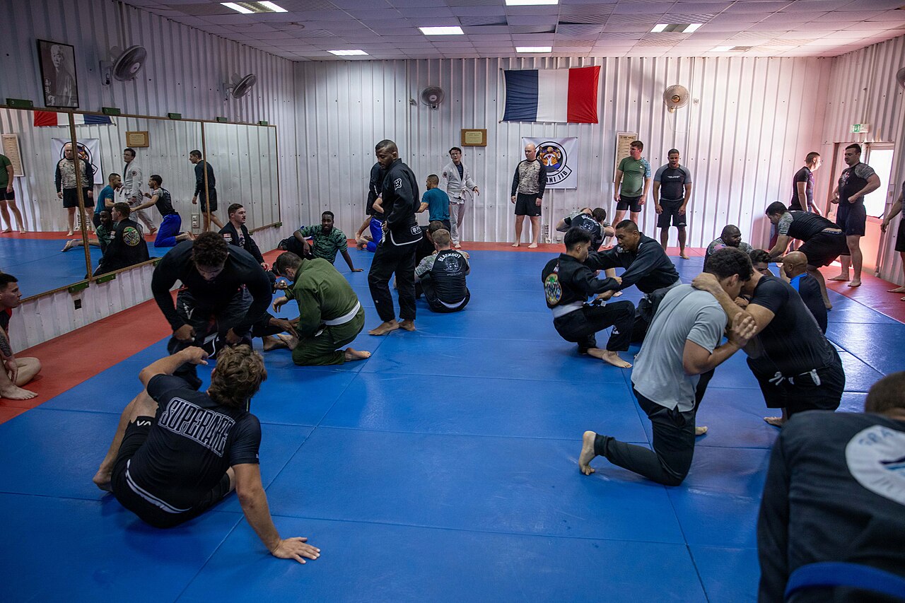 Le Système de Graduation IBJJF Expliqué - Règles Officielles de Promotion de Ceintures