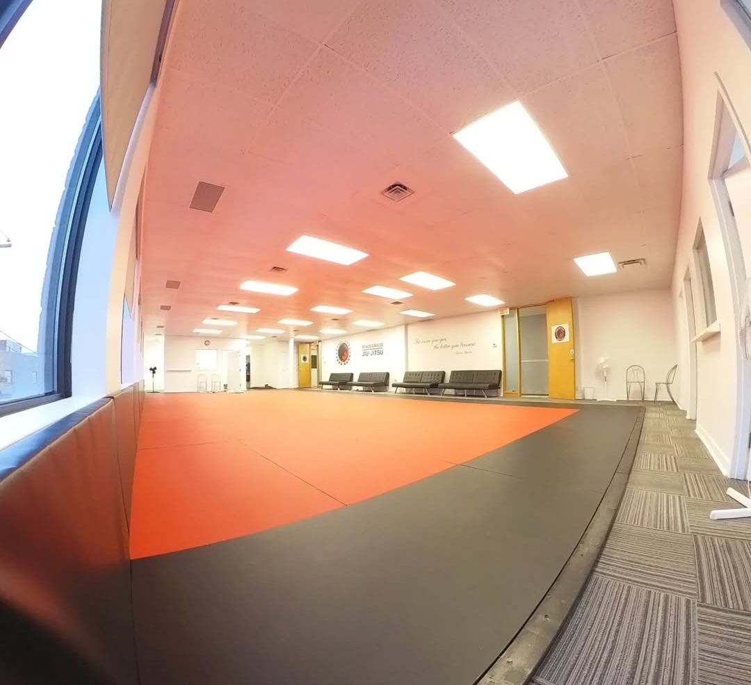 Renzo Gracie Laval mat area